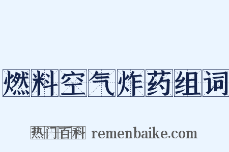 燃料空气炸药组词是什么意思的图片